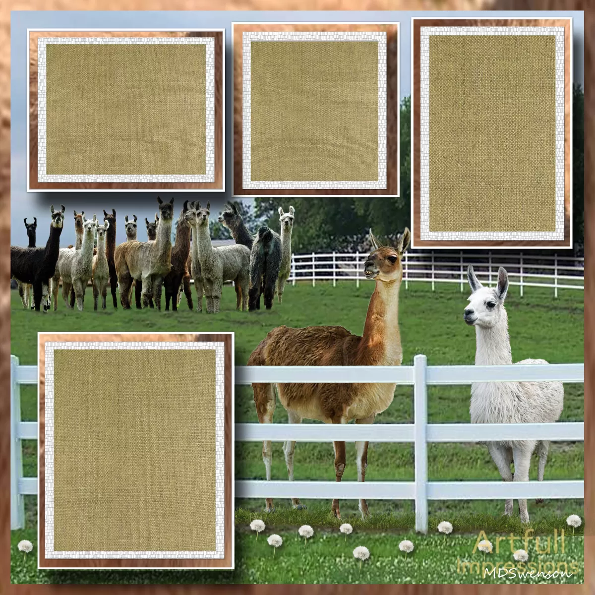 Countryside Llama Farm