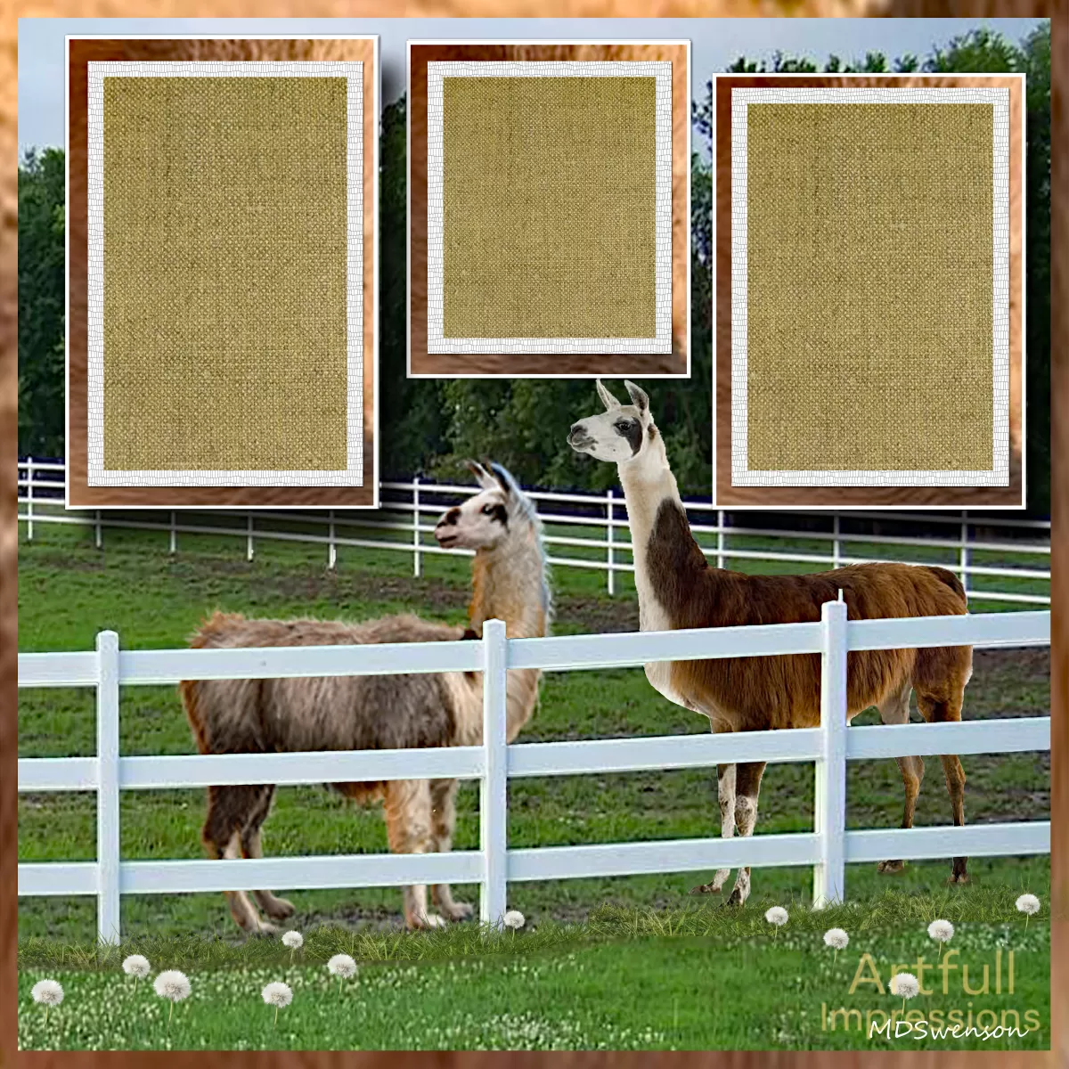 Charming Pasture with Two Llamas