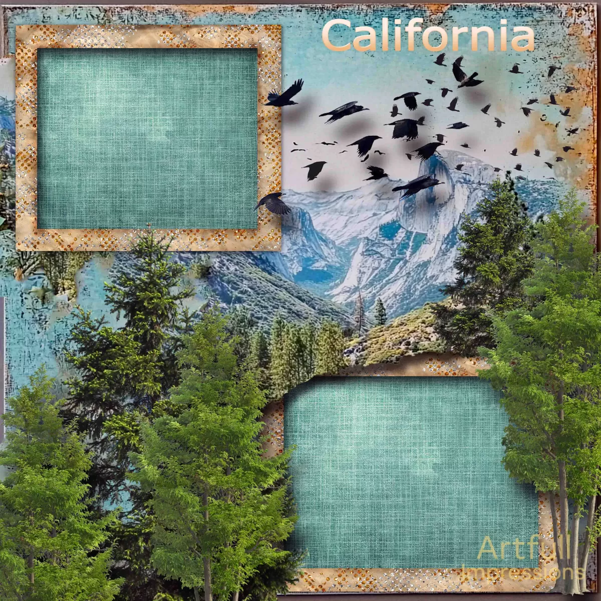 California Scenic View of Birds Soaring Over the Sierra