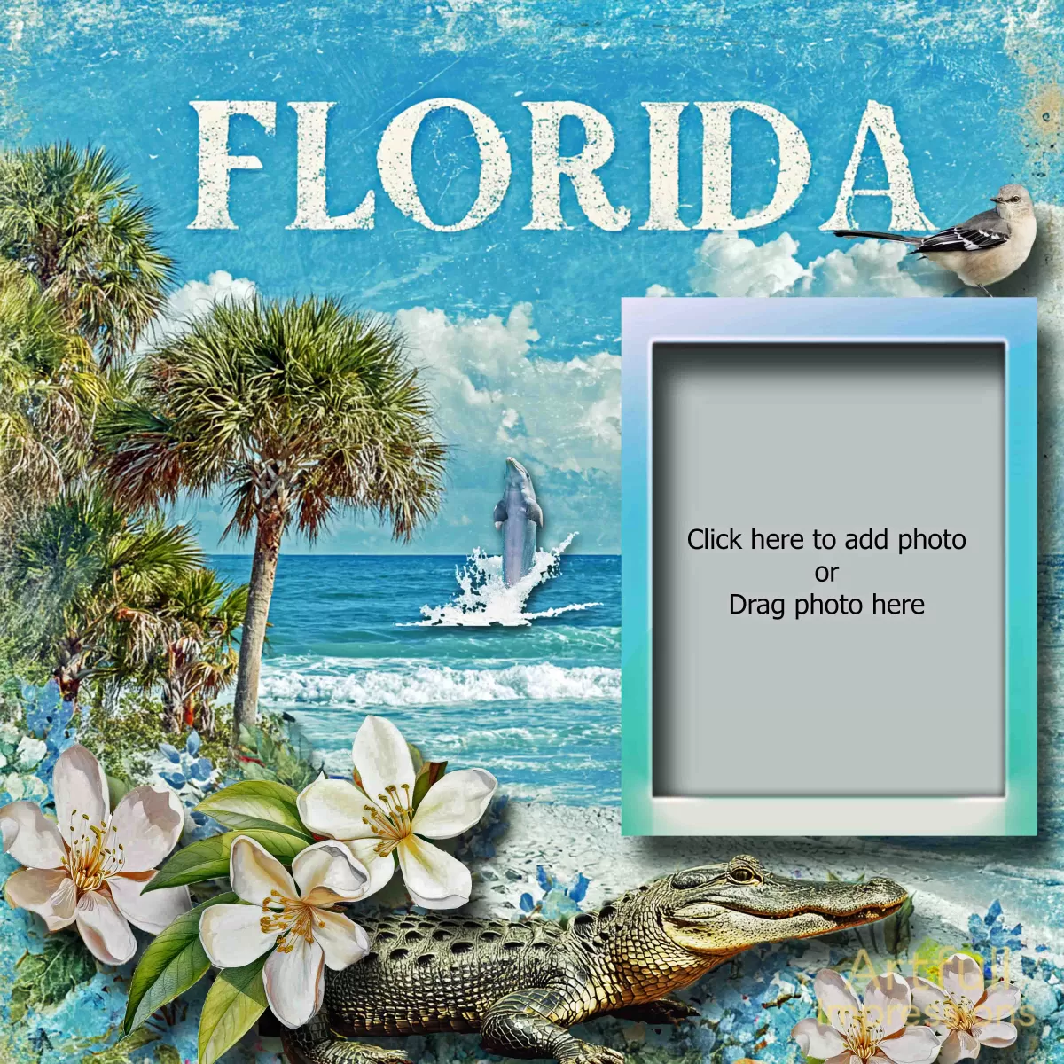 Florida Coastal Adventure
